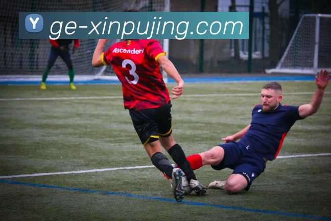 新葡京娱乐平台生态图