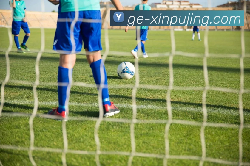 新葡京娱乐APP 封面图